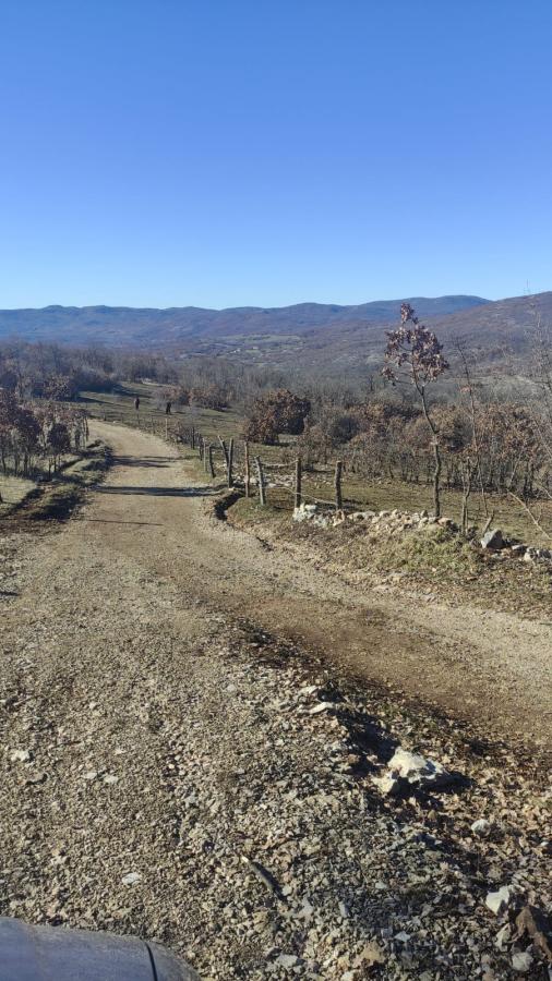 For sale - Renovated stone cottage with a large property in Banjani, Montenegro 18