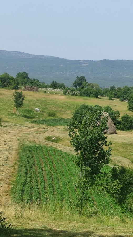 For sale - Renovated stone cottage with a large property in Banjani, Montenegro 6