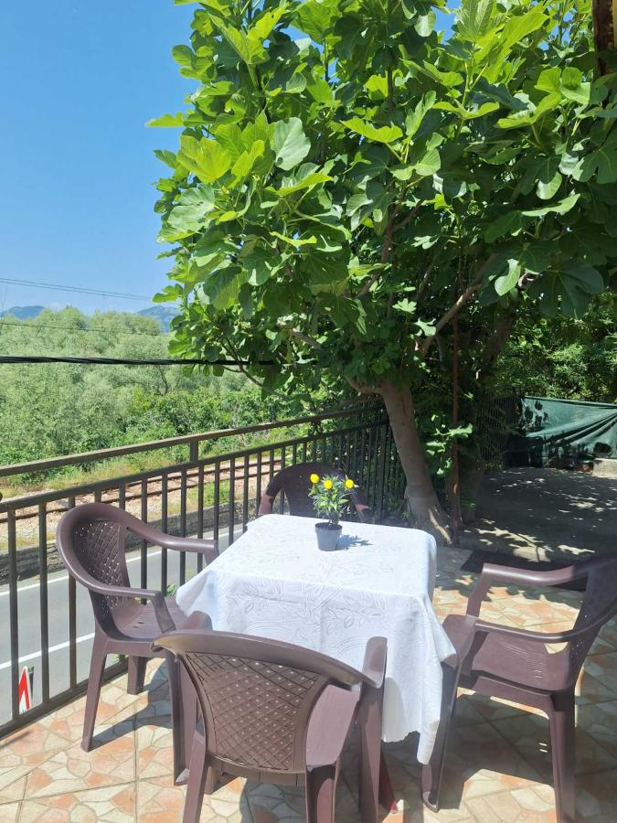 Authentic house for rent on skadar lake, inside the national park 5