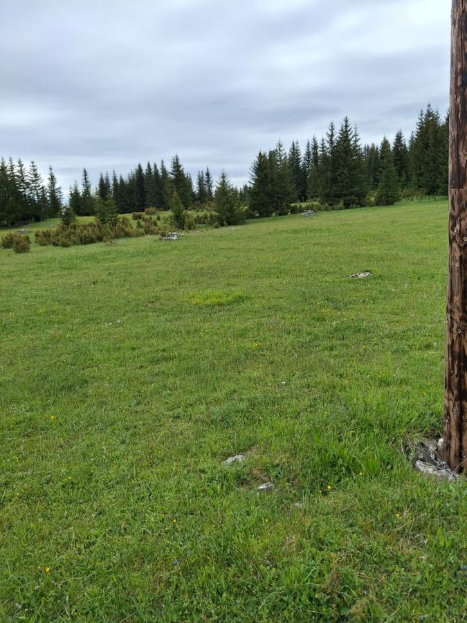 Nekretnina u Žabljak, 500m²
