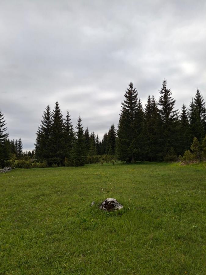 Nekretnina u Žabljak, 500m² 2