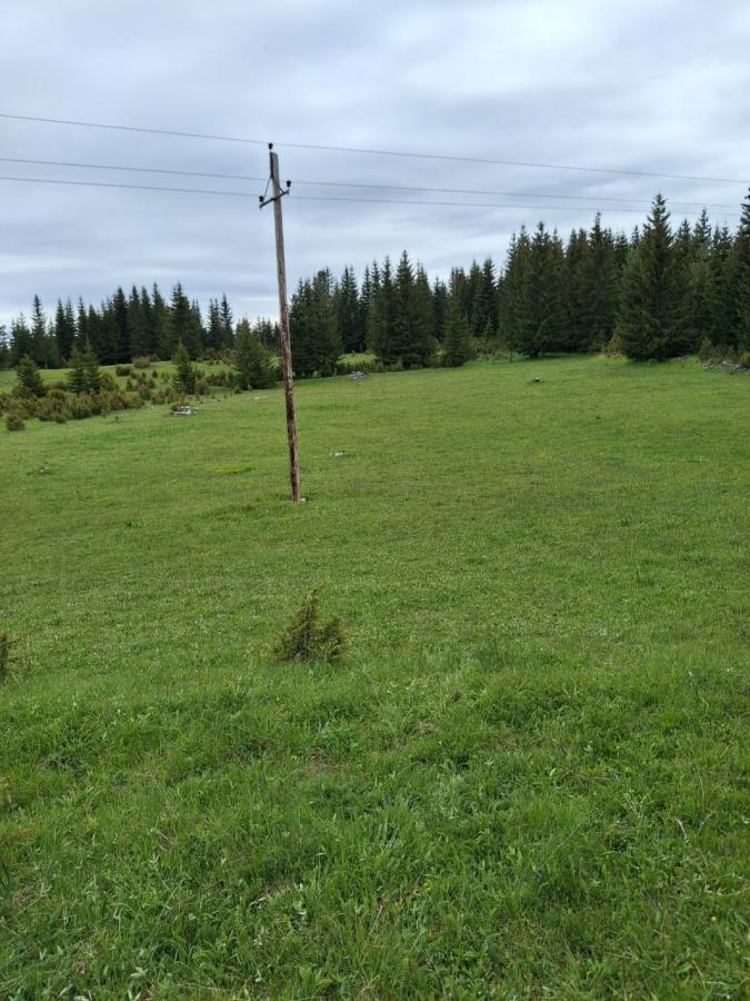 Nekretnina u Žabljak, 500m² 3