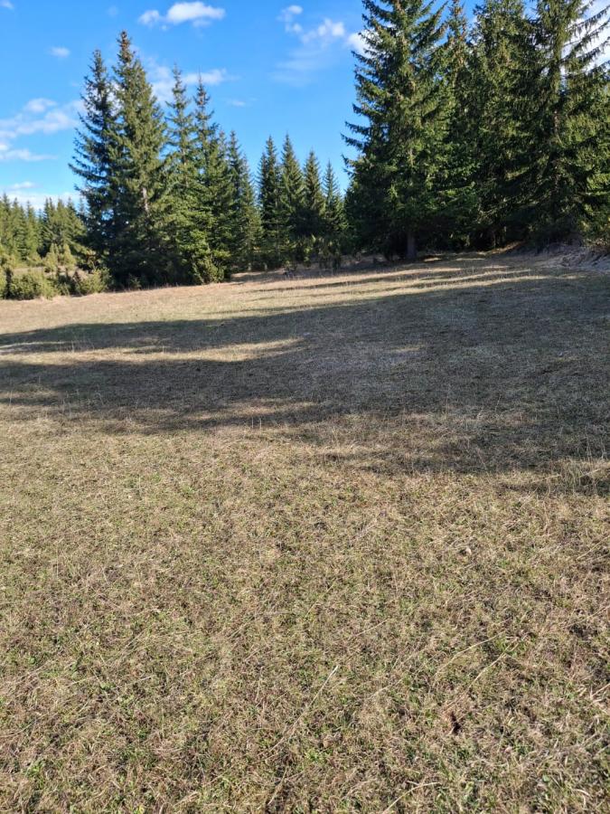 Nekretnina u Žabljak, 500m² 4