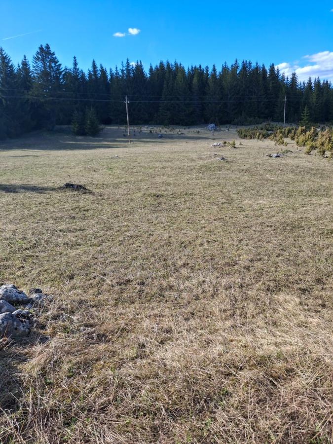 Nekretnina u Žabljak, 500m² 5