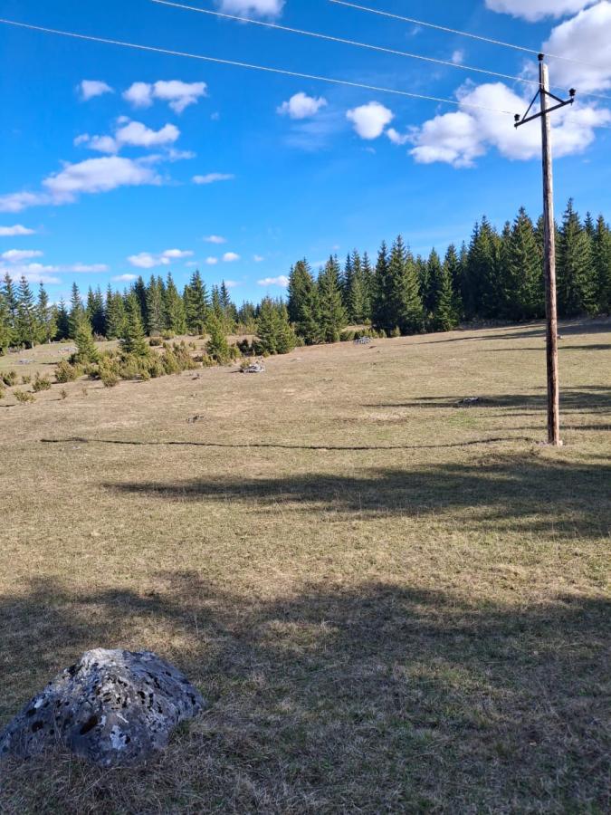 Nekretnina u Žabljak, 500m² 6