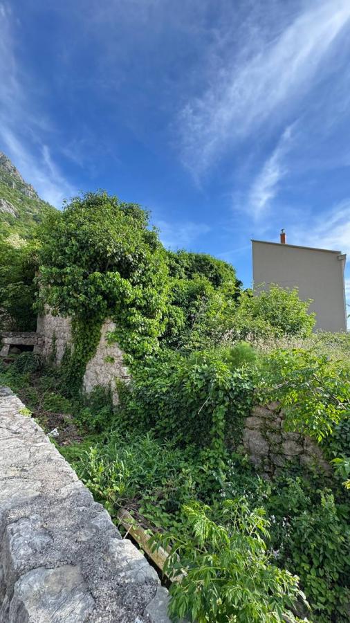 Nekretnina u Budvi, 198m² 2