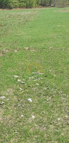 Plac u Kolašin, 0m² 2