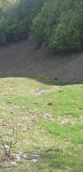 Plac u Kolašin, 0m² 3