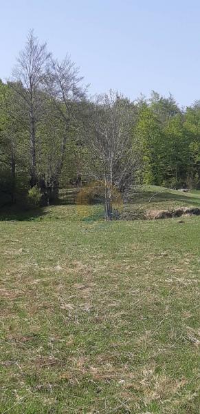 Plac u Kolašin, 0m² 4