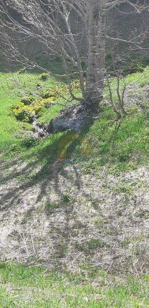Plac u Kolašin, 0m² 5