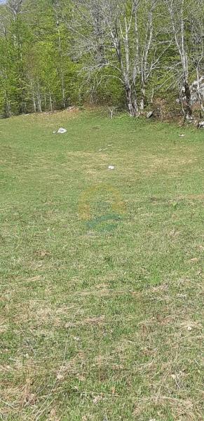 Plac u Kolašin, 0m² 6