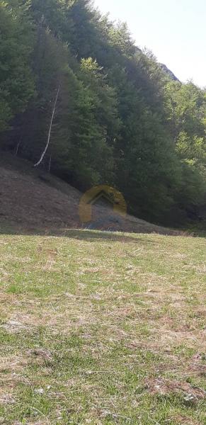 Plac u Kolašin, 0m² 7