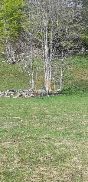 Plac u Kolašin, 0m² 8
