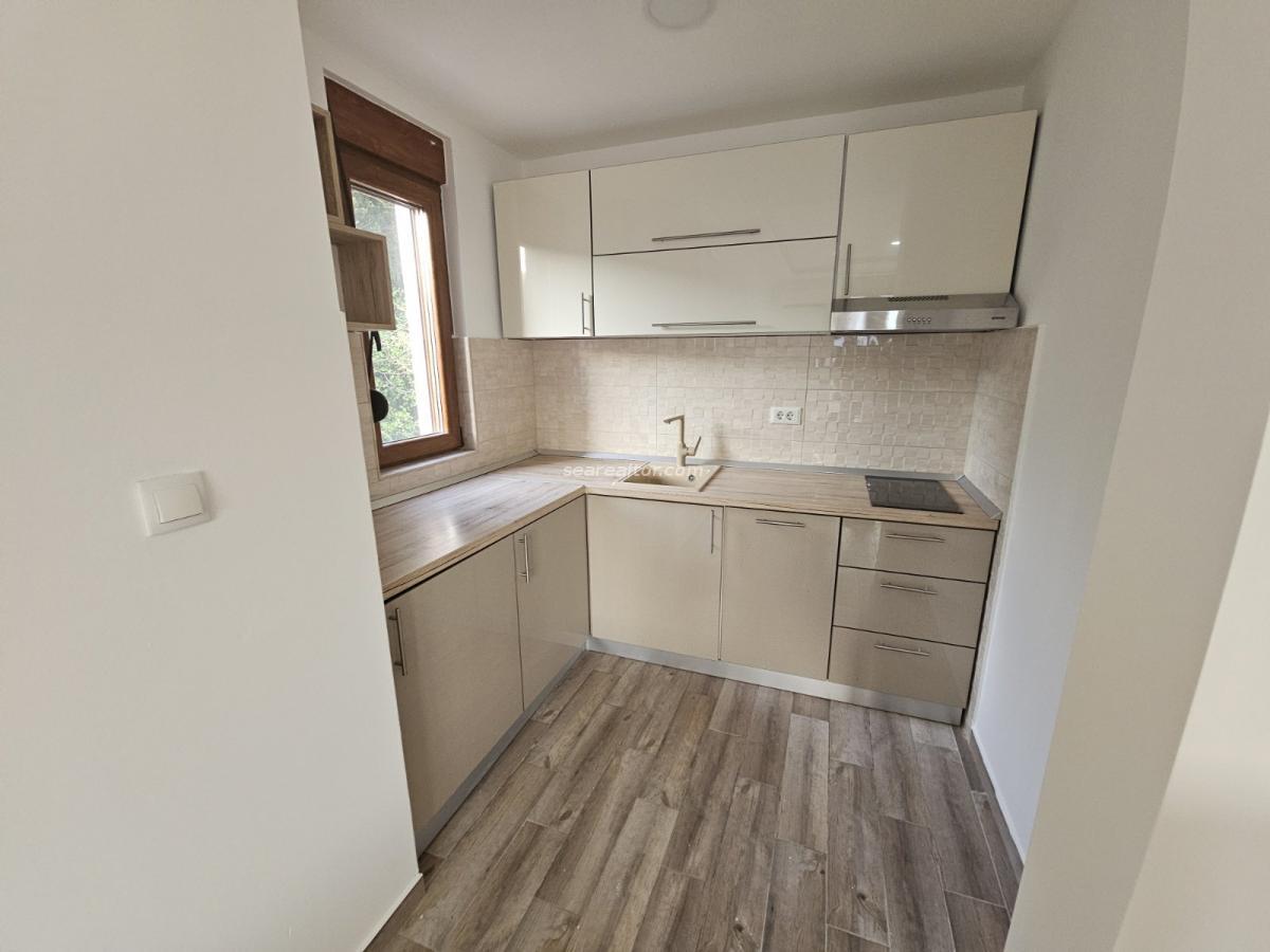 One bedroom apartment for rent 44m2, Topla 5