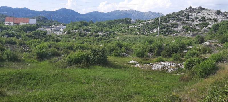 Plac na Cetinju, 0m²