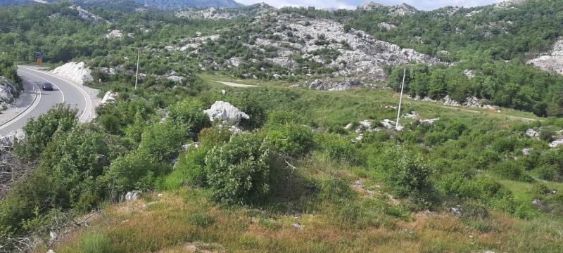 Plac na Cetinju, 0m² 3