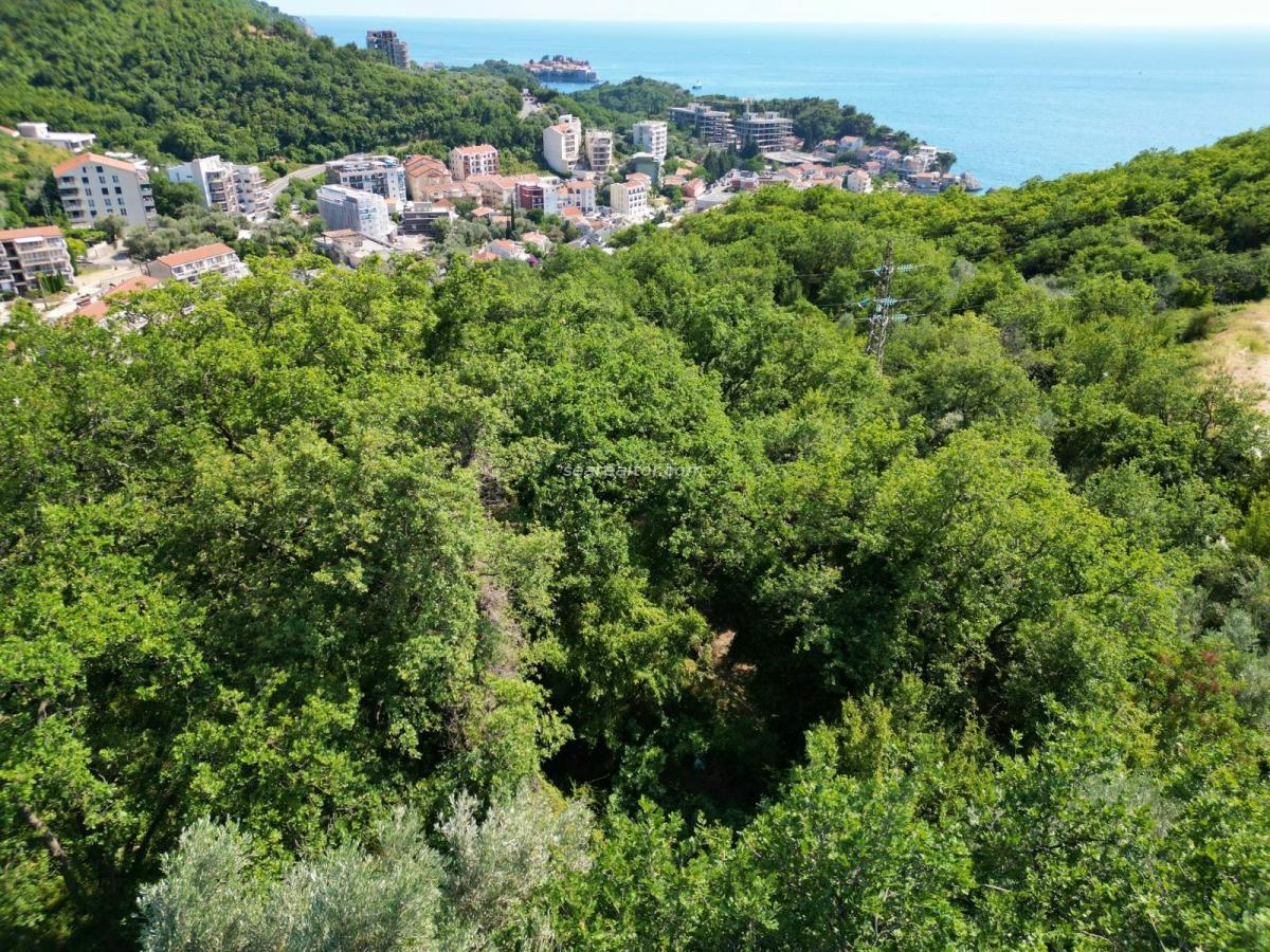 Nekretnina u Budvi, 841m² — 3