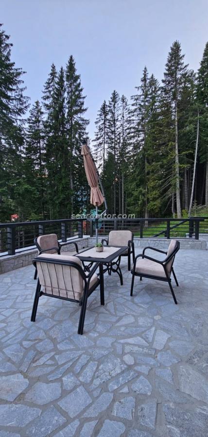 Spacious House Near Black Lake – Žabljak 7