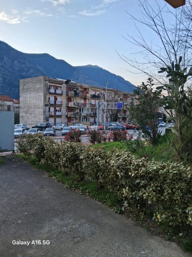 Gewerberaum zur Miete an der Hauptstraße – Dobrota 4
