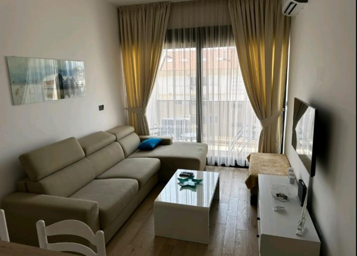 Apartments for Rent · Bar
