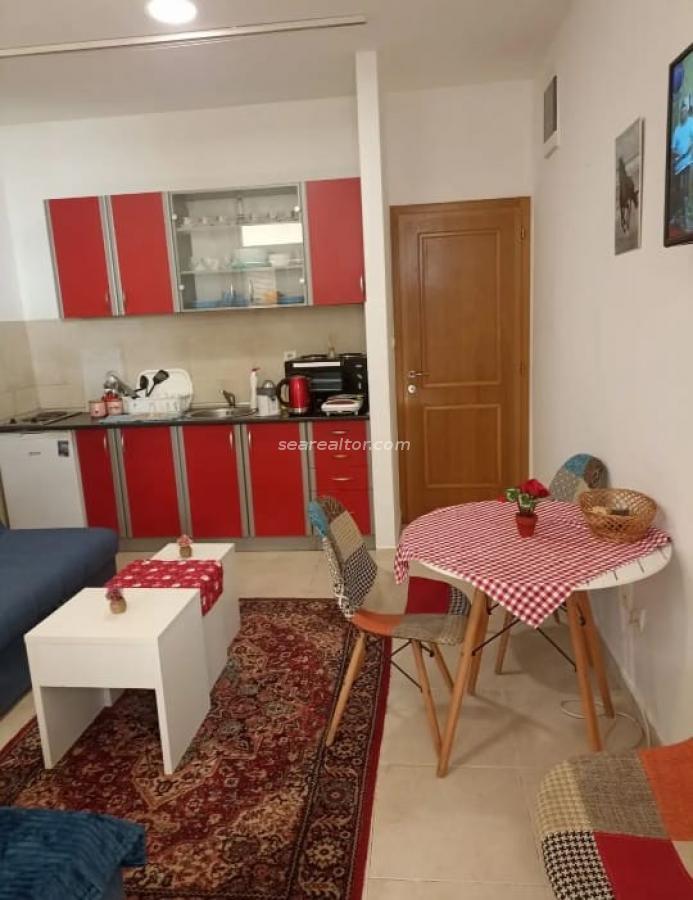 Studio Apartment for Rent – Rozino, Budva, 23 m²