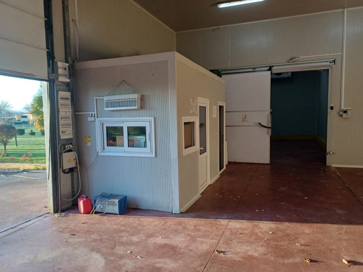 Großzügige Gewerbefläche in ruhiger Lage – Tuzi, Podgorica 6