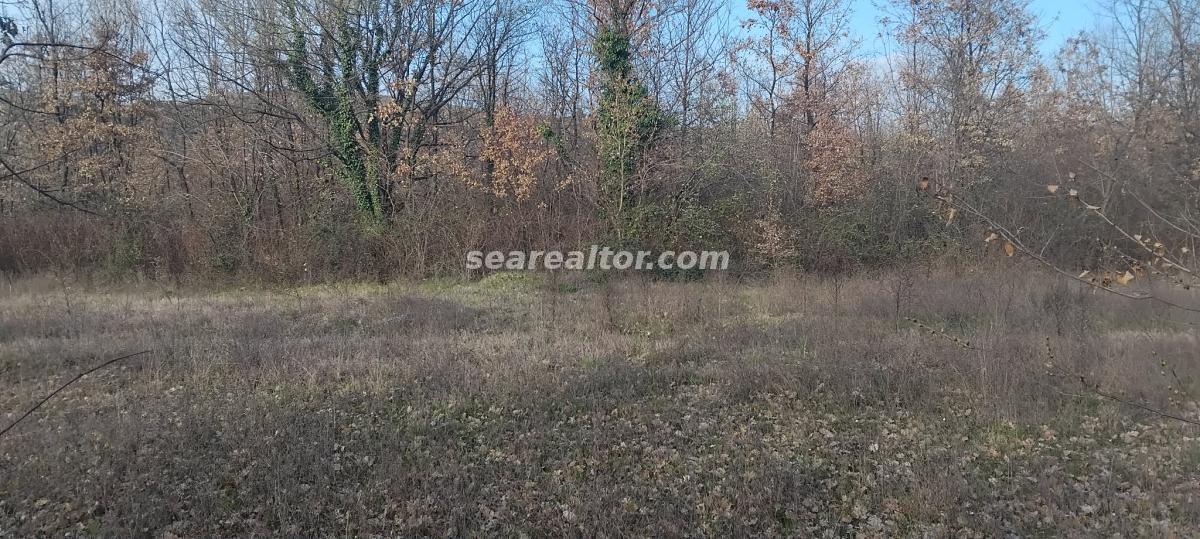 For Sale Land 2386 m2 - Dajbabe, Podgorica 2