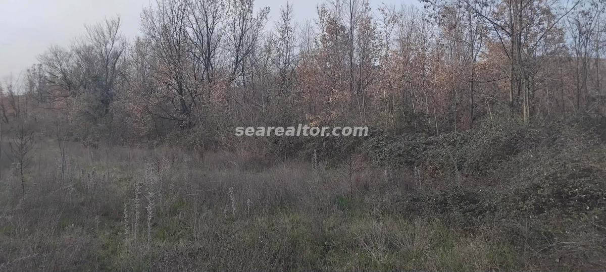 For Sale Land 2386 m2 - Dajbabe, Podgorica 7