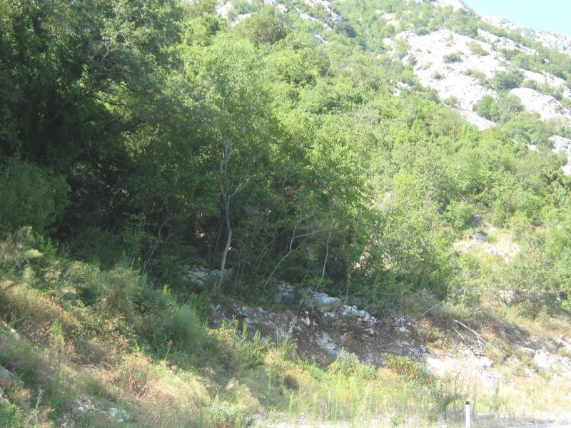 Plac u Kotoru, 0m² 2