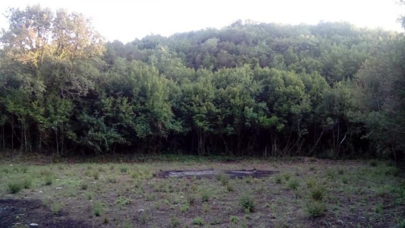 Nekretnina u Kotoru, 1250m²