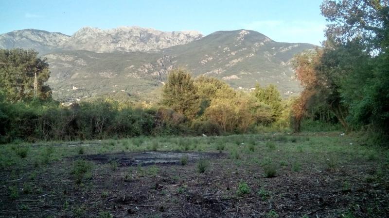 Nekretnina u Kotoru, 1250m² 3