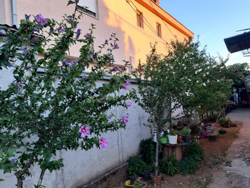Kuća u Podgorici, 110m² 2