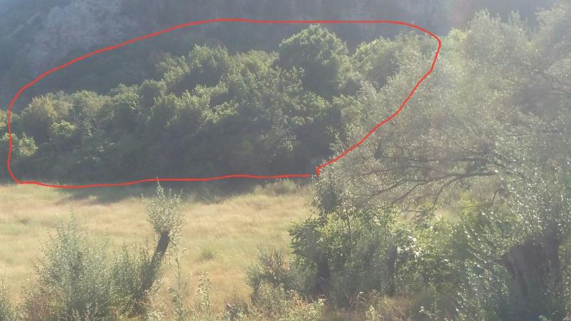 Plac u Budvi, 0m² 2