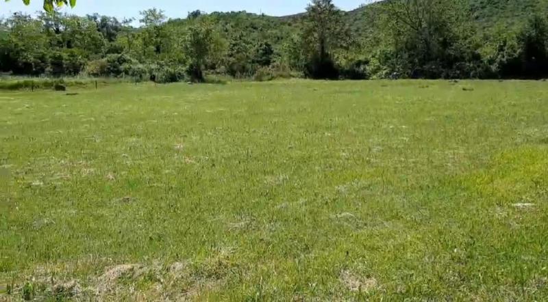 Nekretnina u Kotoru, 0m² 4
