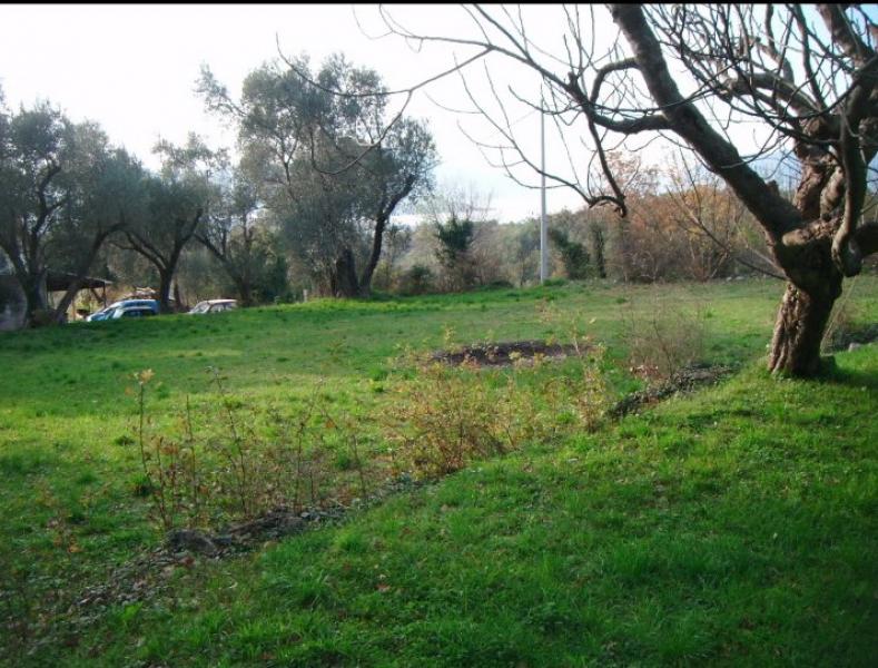 Nekretnina u Kotoru, 600m²