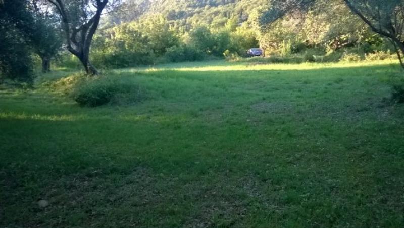 Nekretnina u Kotoru, 600m² 3