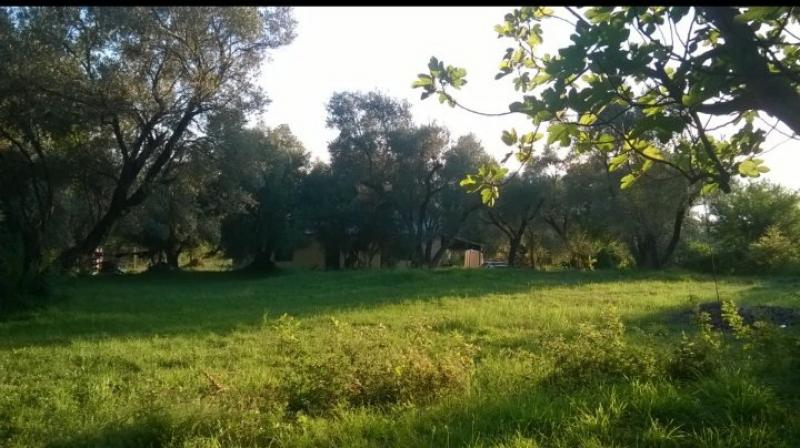 Nekretnina u Kotoru, 600m² 4
