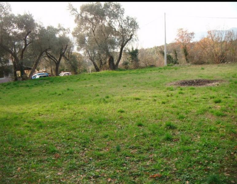 Nekretnina u Kotoru, 600m² 5