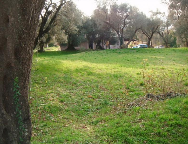 Nekretnina u Kotoru, 600m² 6