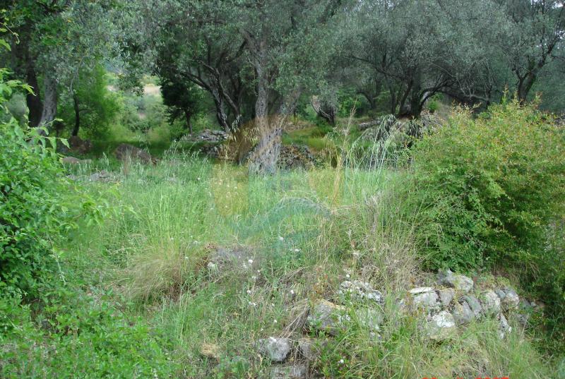 Urbanized plot in Kavac, Kotor 3