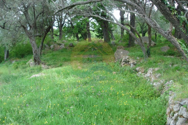 Urbanized plot in Kavac, Kotor 5