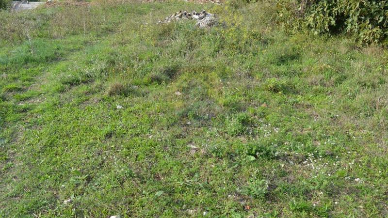 Nekretnina u Budvi, 0m² 5