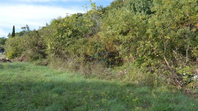 Nekretnina u Budvi, 0m² 6
