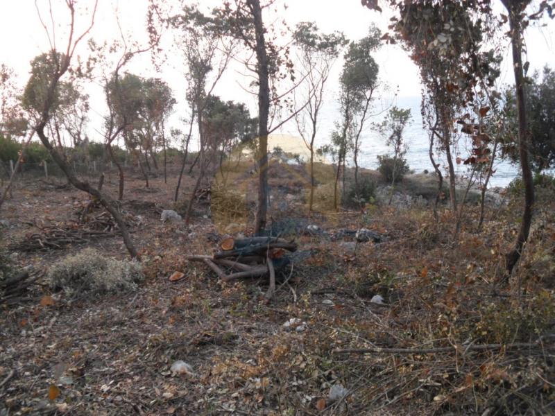 Urbanized plot near the sea in Utjeha, Bar - Montenegro. 8