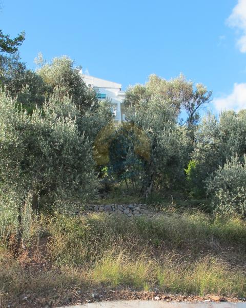 Beautiful urbanized plot with sea views and for sale in Petrovac, Budva - Montenegro. 3