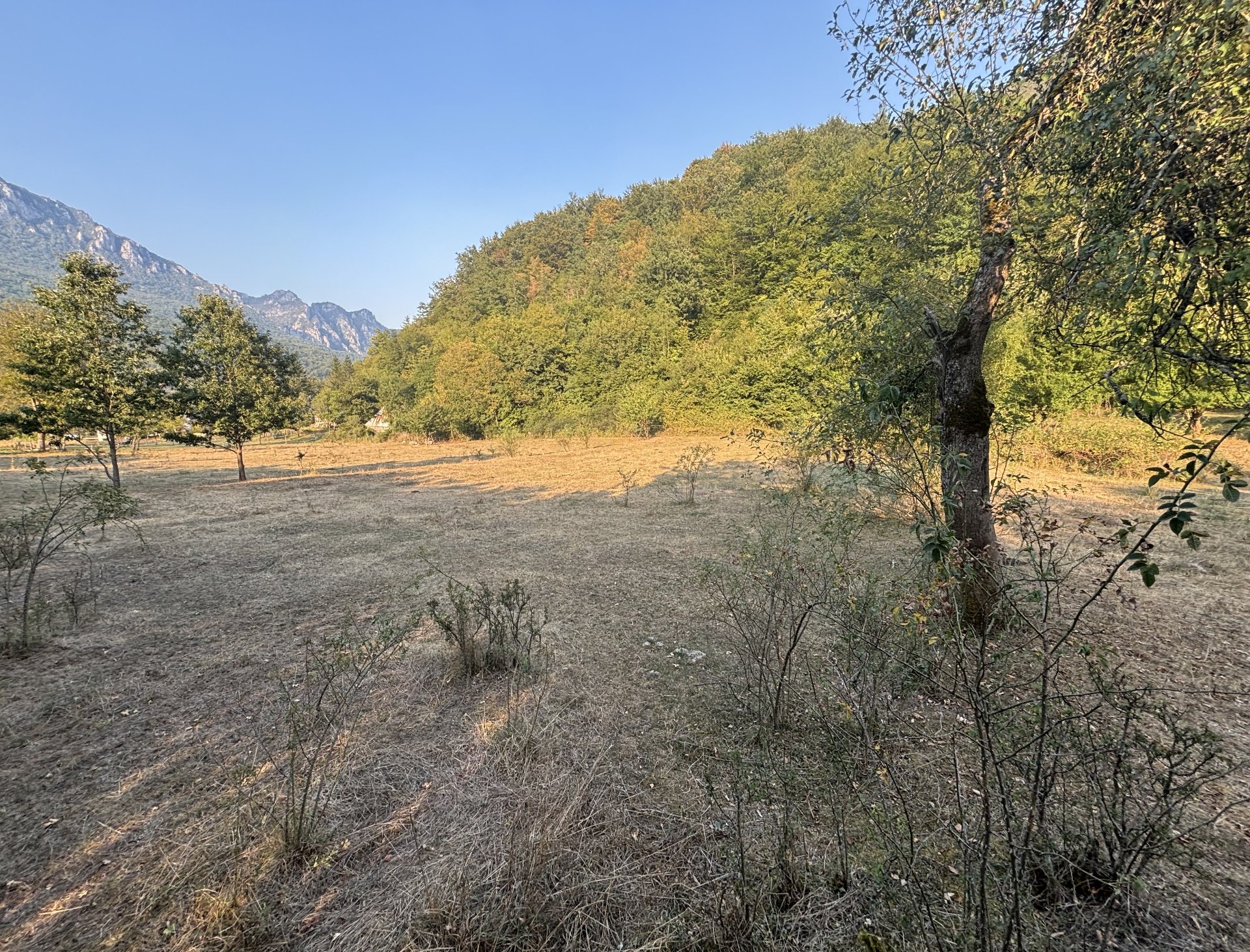 Plužine'de arsa, 2051 m²