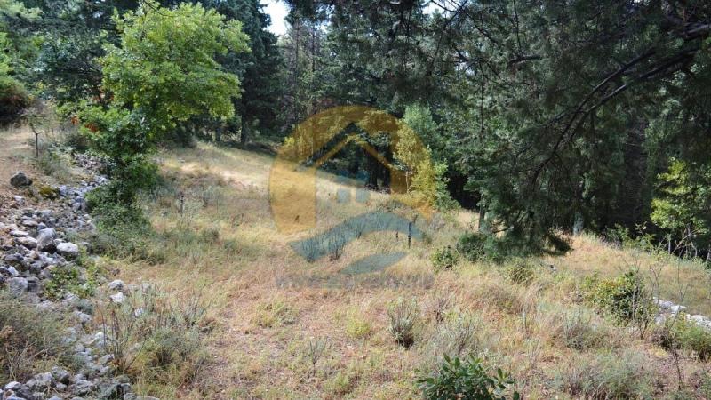 Investment plot with a beautiful sea view in a peaceful village of Dobrota, near Kotor Old Town and Perast. 3