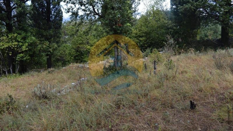 Investment plot with a beautiful sea view in a peaceful village of Dobrota, near Kotor Old Town and Perast. 4