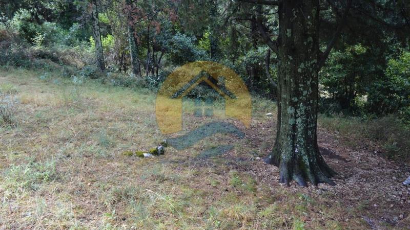 Investment plot with a beautiful sea view in a peaceful village of Dobrota, near Kotor Old Town and Perast. 5