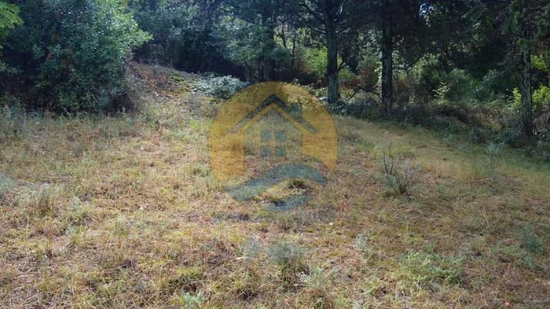 Investment plot with a beautiful sea view in a peaceful village of Dobrota, near Kotor Old Town and Perast. 6